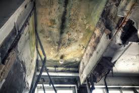 Asbestos and Lead Testing During Mold Inspection in Barron, WI